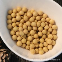 廠家直批黃豆現磨豆漿原料 粗糧豆制品原料 散裝黃豆