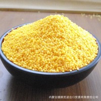 黃小米吃的小米黃金苗內蒙古赤峰小米月子寶寶米黃金米粥批發