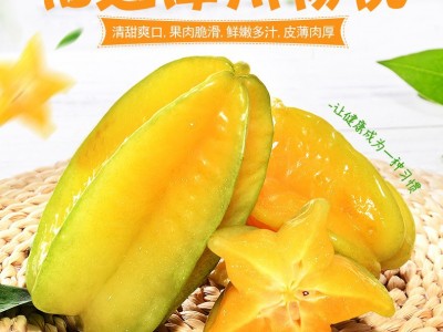 福建漳州楊桃5斤水果新鮮當季應季整箱酸甜洋桃陽桃批發直批