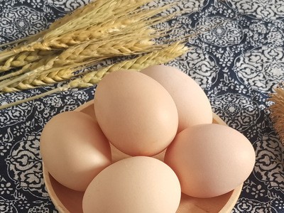 安徽新鮮農家散養土雞蛋10枚體驗裝凈重450g左右 招代理一件代發