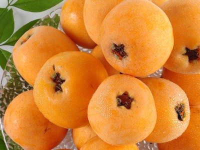 四川米易新鮮枇杷 現摘孕婦水果應季五星甜枇杷 甜蜜多汁一件代發