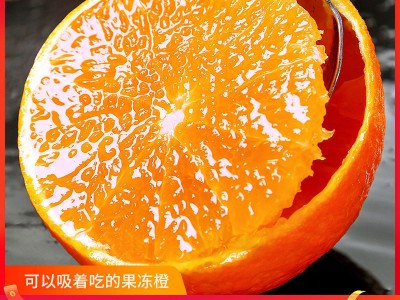 四川愛媛38號果凍橙現摘新鮮水果冰糖橙子 當季柑橘包郵代發批發