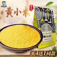 新東北黃小米500g 五谷雜糧吃的小黃米黑龍江糧食糯小米特產 一件代發