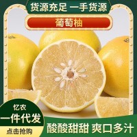 黃金葡萄柚 爆汁甜蜜西柚老樹柚子應季水果新品上市一件代發