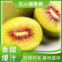 廣西桂林紅心獼猴桃 新鮮水果當季大果紅心孕婦奇異果 6斤一件