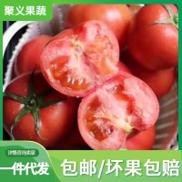 山東批發新鮮西紅柿 大番茄沙瓤西紅柿水果蔬菜批發 西紅柿銷售