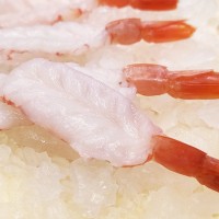 【電商貨源】紅蝦開片開背紅蝦阿根廷大號蝦仁餐飲批發廠家直供