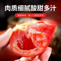 一件代發山東普羅旺斯西紅柿3、5斤普裝沙瓤小番茄自然口感西紅柿