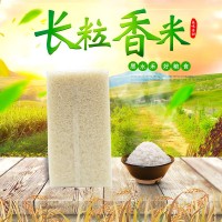 長粒香米米磚廠家批發 東北大米真空米磚 新米供應黑龍江特產大米