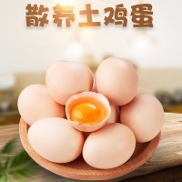 河北館陶農家散養玉米黃土雞蛋 10-60枚新鮮營養非草雞綠殼蛋