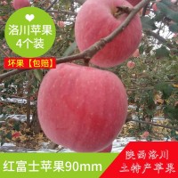 4枚90果陜西洛川紅富士蘋果 紅富士一件代蘋果批發