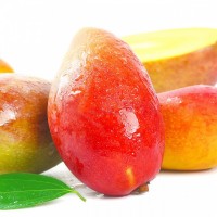 當季現摘現發云南金鳳凰芒果新鮮熱帶水果甜心芒凈果9斤