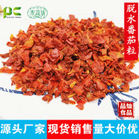 廠家批發脫水番茄粒 方便食品配料500g/15kg包裝番茄粒番茄干批發