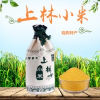 農產品批發五谷雜糧小米上林小米一袋10斤煮粥米糊烘焙原料粟谷子